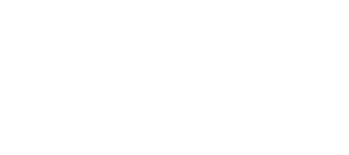 Fiscal Media
